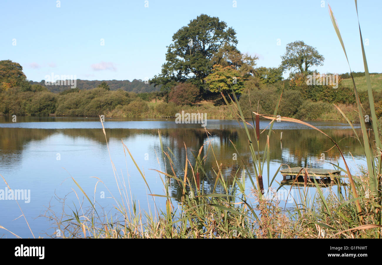 Throxenby Mere Foto Stock