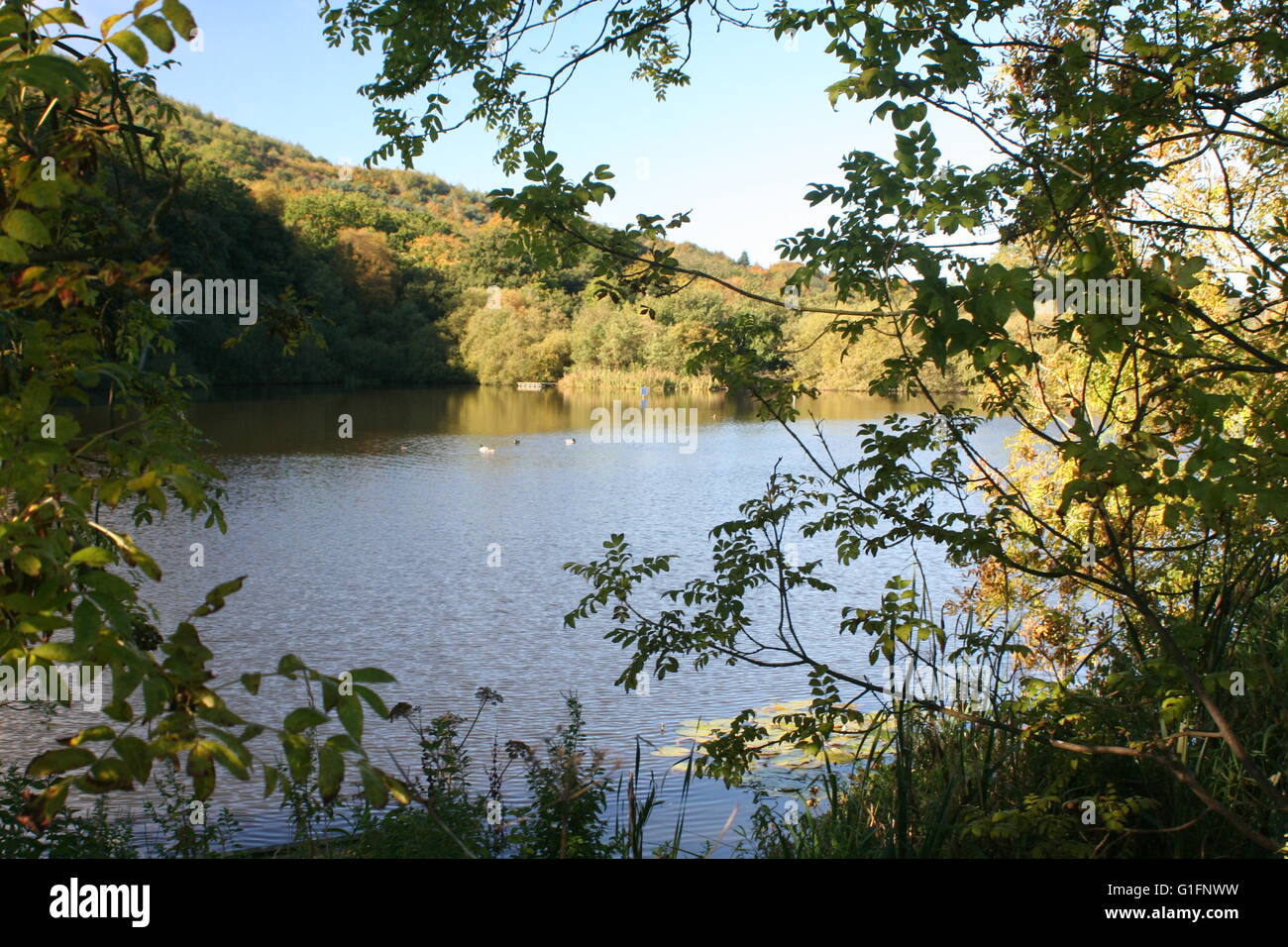 Throxenby Mere Foto Stock