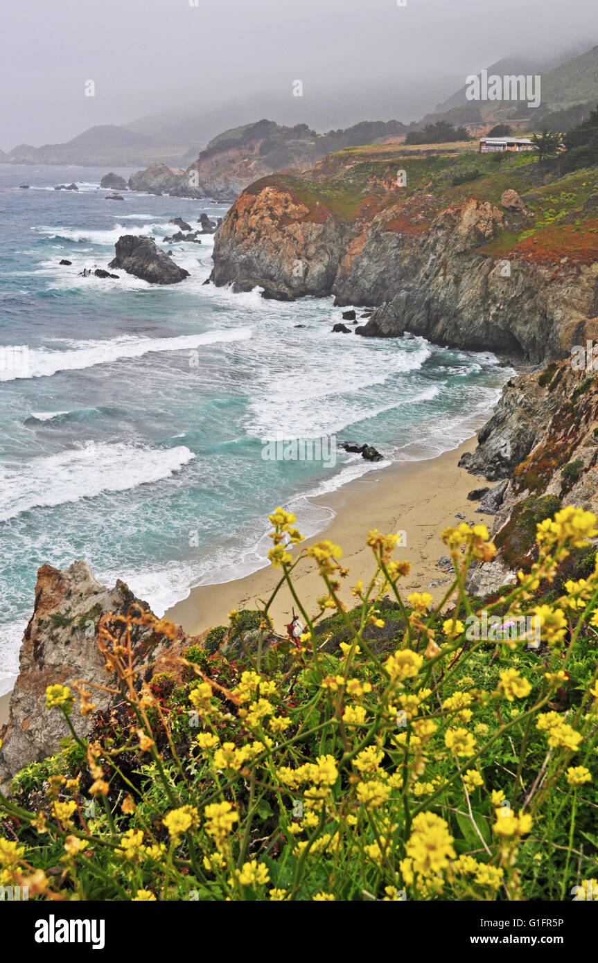 Autostrada 1, California, Stati Uniti d'America: Pacifico, nebbia e vista panoramica della costa di Big Sur, una famosa regione della costa centrale della California Foto Stock