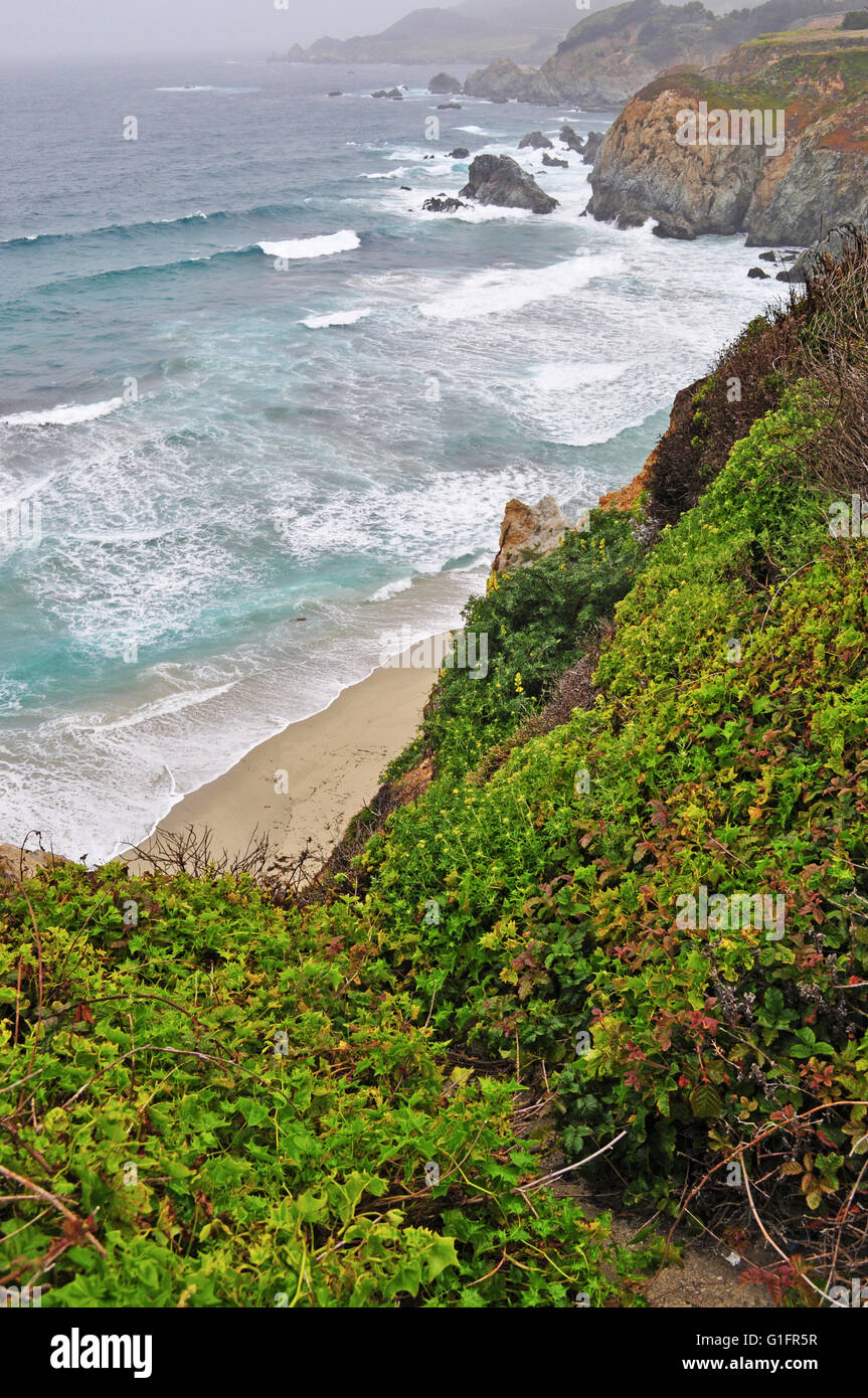 Autostrada 1, California, Stati Uniti d'America: Pacifico, nebbia e vista panoramica della costa di Big Sur, una famosa regione della costa centrale della California Foto Stock