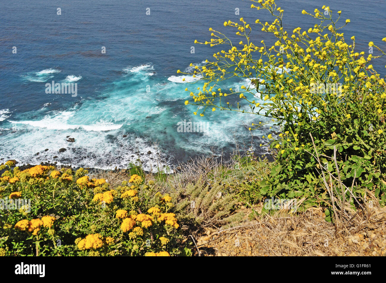Autostrada 1, California, Stati Uniti d'America: Pacifico, nebbia e vista panoramica della costa di Big Sur, una famosa regione della costa centrale della California Foto Stock