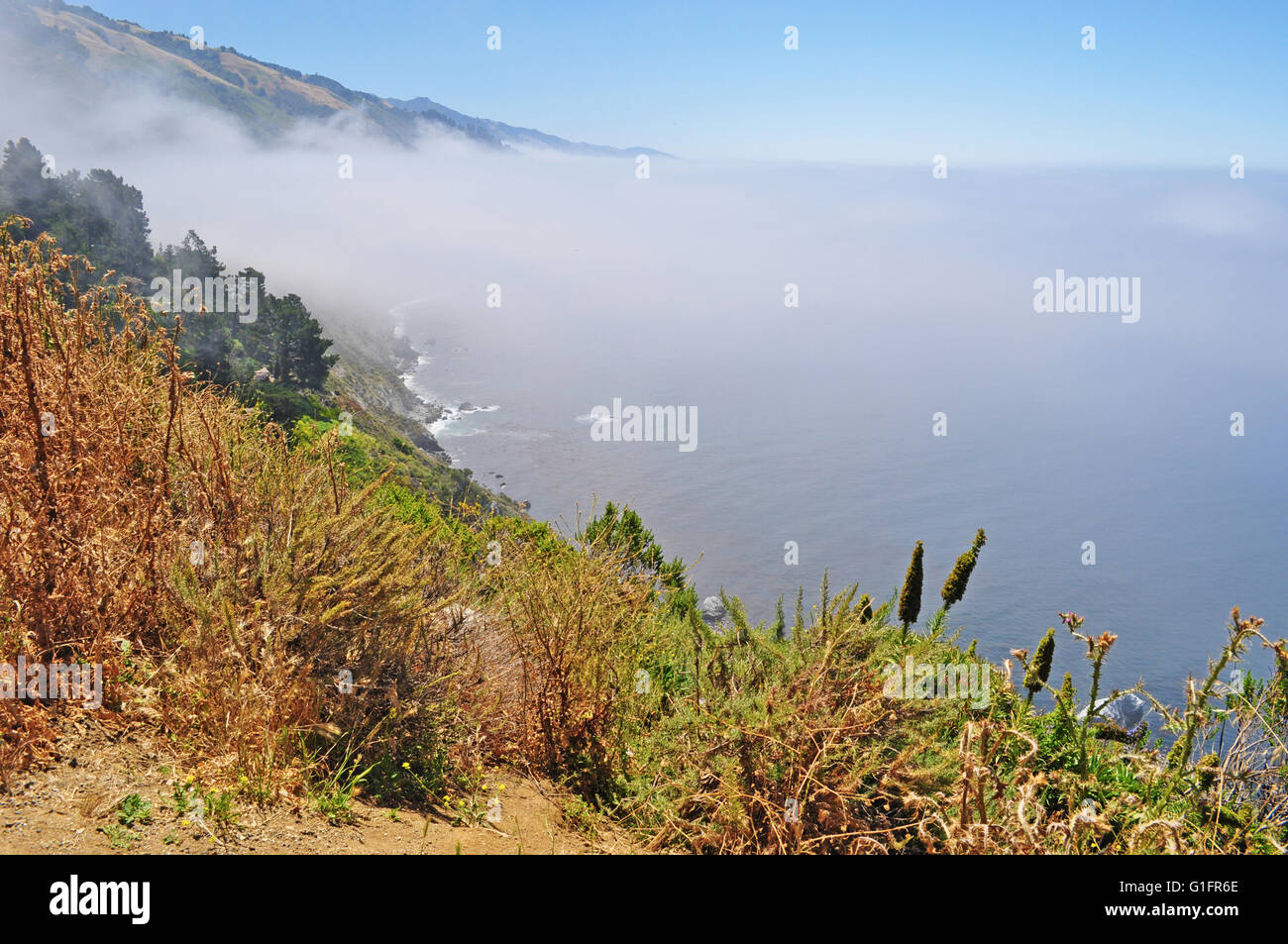 Autostrada 1, California, Stati Uniti d'America: Pacifico, nebbia e vista panoramica della costa di Big Sur, una famosa regione della costa centrale della California Foto Stock