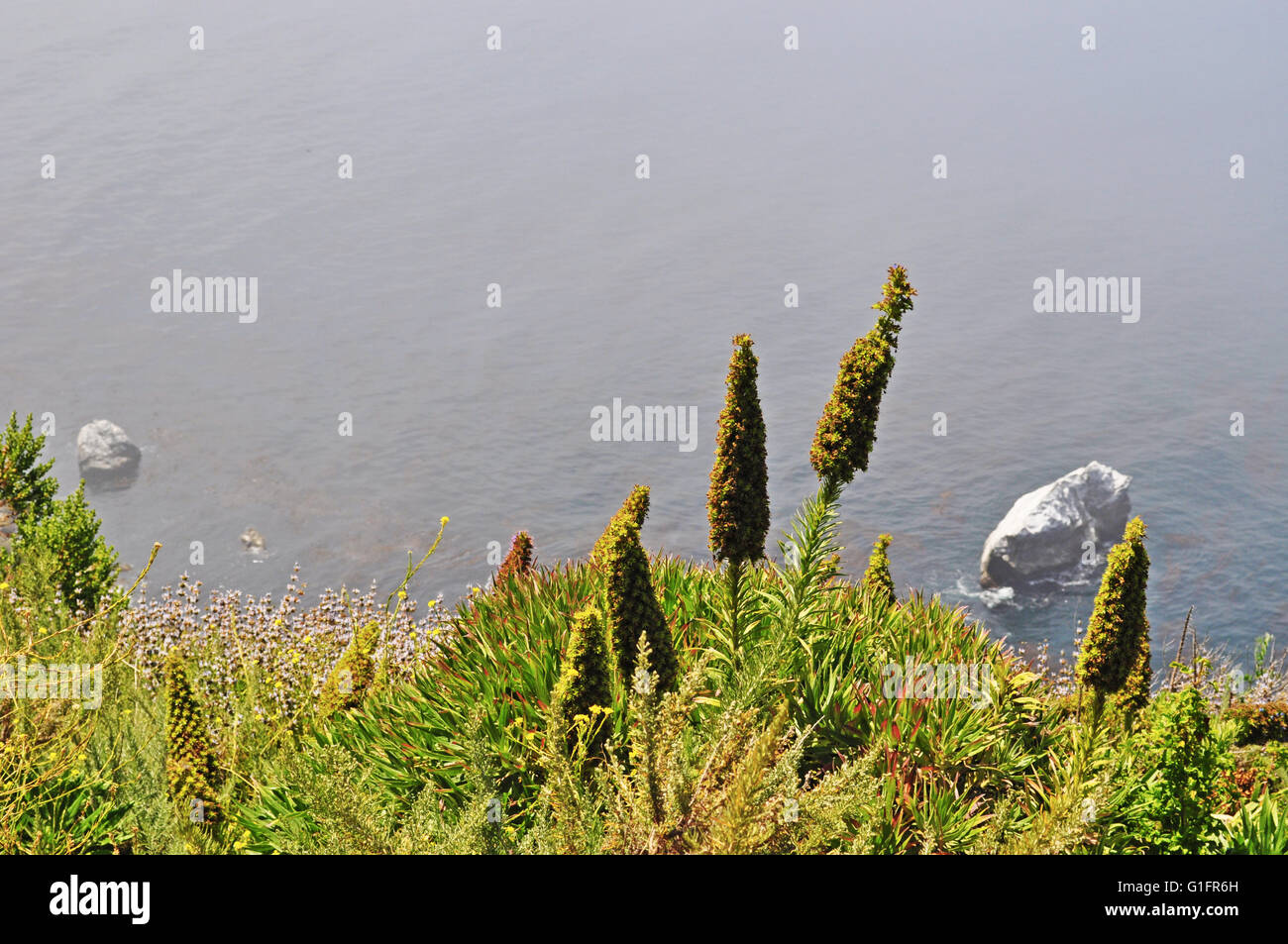 Autostrada 1, California, Stati Uniti d'America: Pacifico, nebbia e vista panoramica della costa di Big Sur, una famosa regione della costa centrale della California Foto Stock