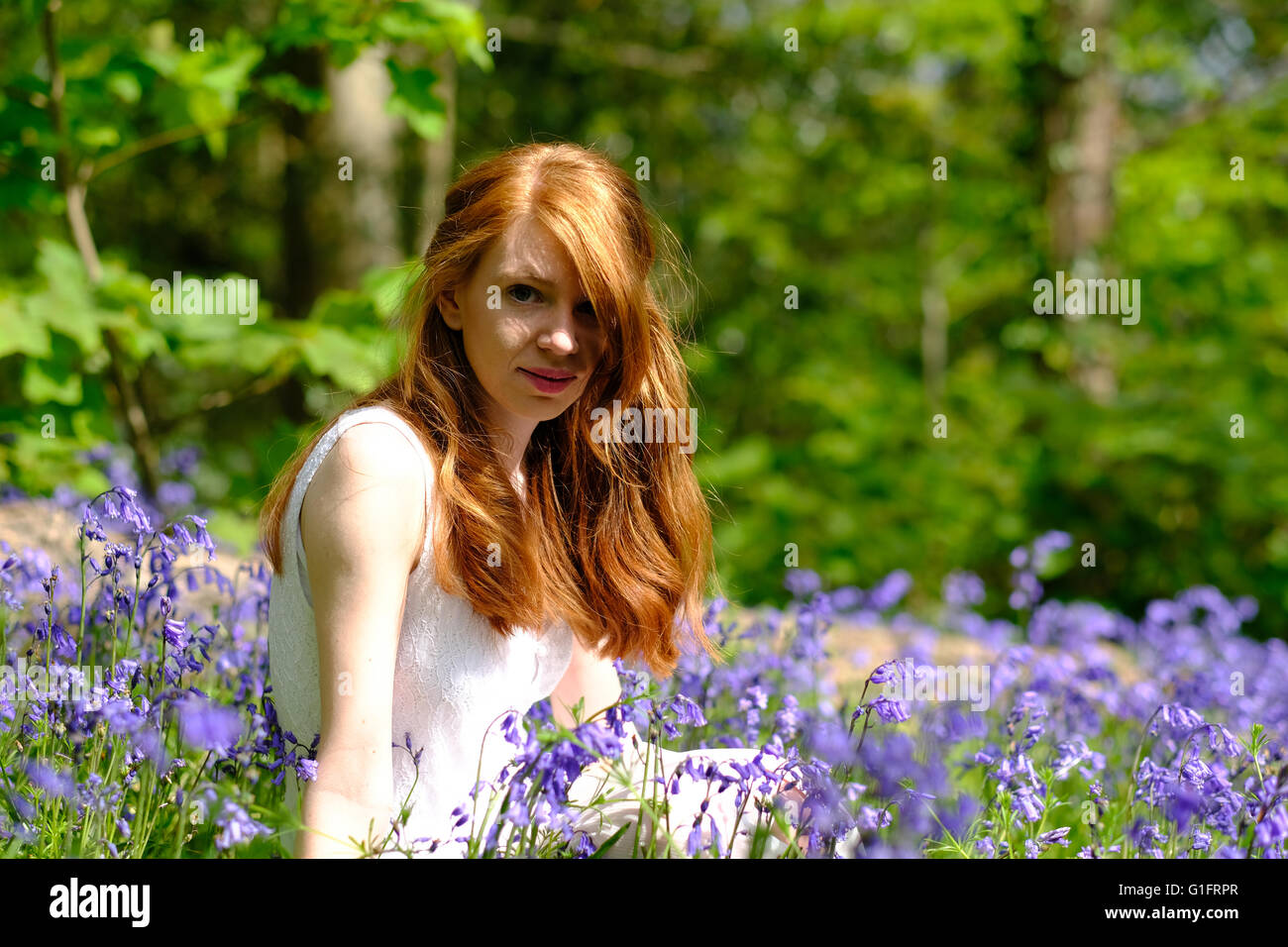 Un esile giovane donna con lunghi capelli rossi si siede tra bluebell fiori in un bosco di impostazione. Foto Stock