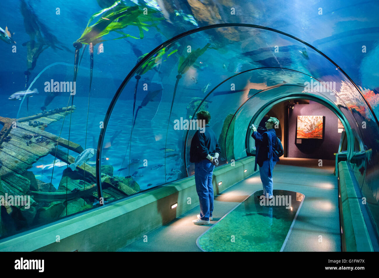 Passaggi della profonda presentano presso la Oregon Coast Aquarium; Newport, central Oregon Coast. Foto Stock