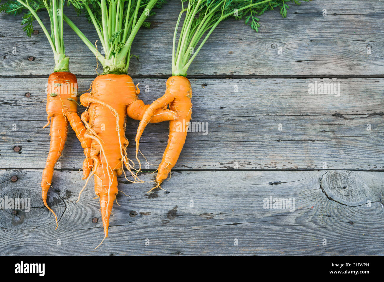 Alla moda di brutto carota organico da casa letto giardino fienile su tavola di legno, australiano cresciuto. Color-tonificante effetto applicato. Foto Stock