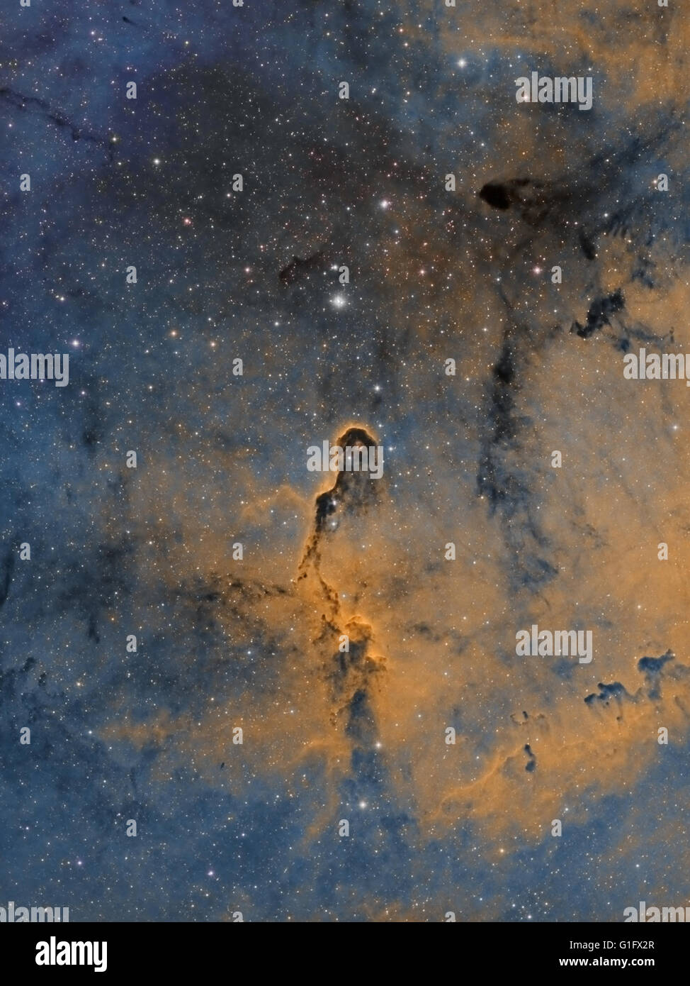La Nebulosa Proboscide imaging in tavolozza di Hubble - si trova nella costellazione di Cefeo Foto Stock