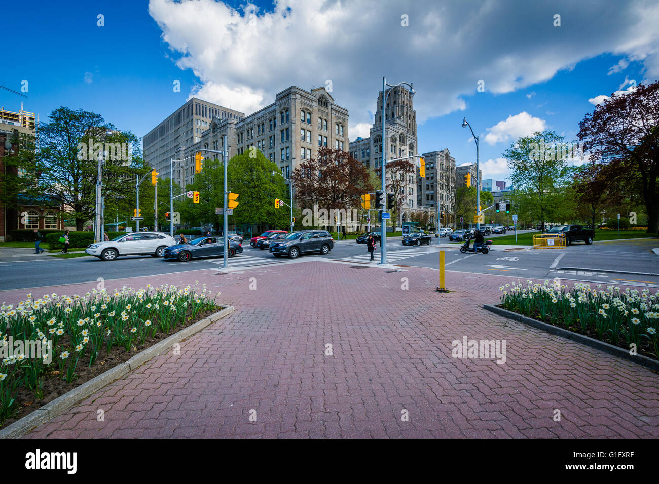Giardino presso la Queen's Park e l'intersezione di Queen's Park Crescent e Wellesley Street, a Toronto, Ontario. Foto Stock