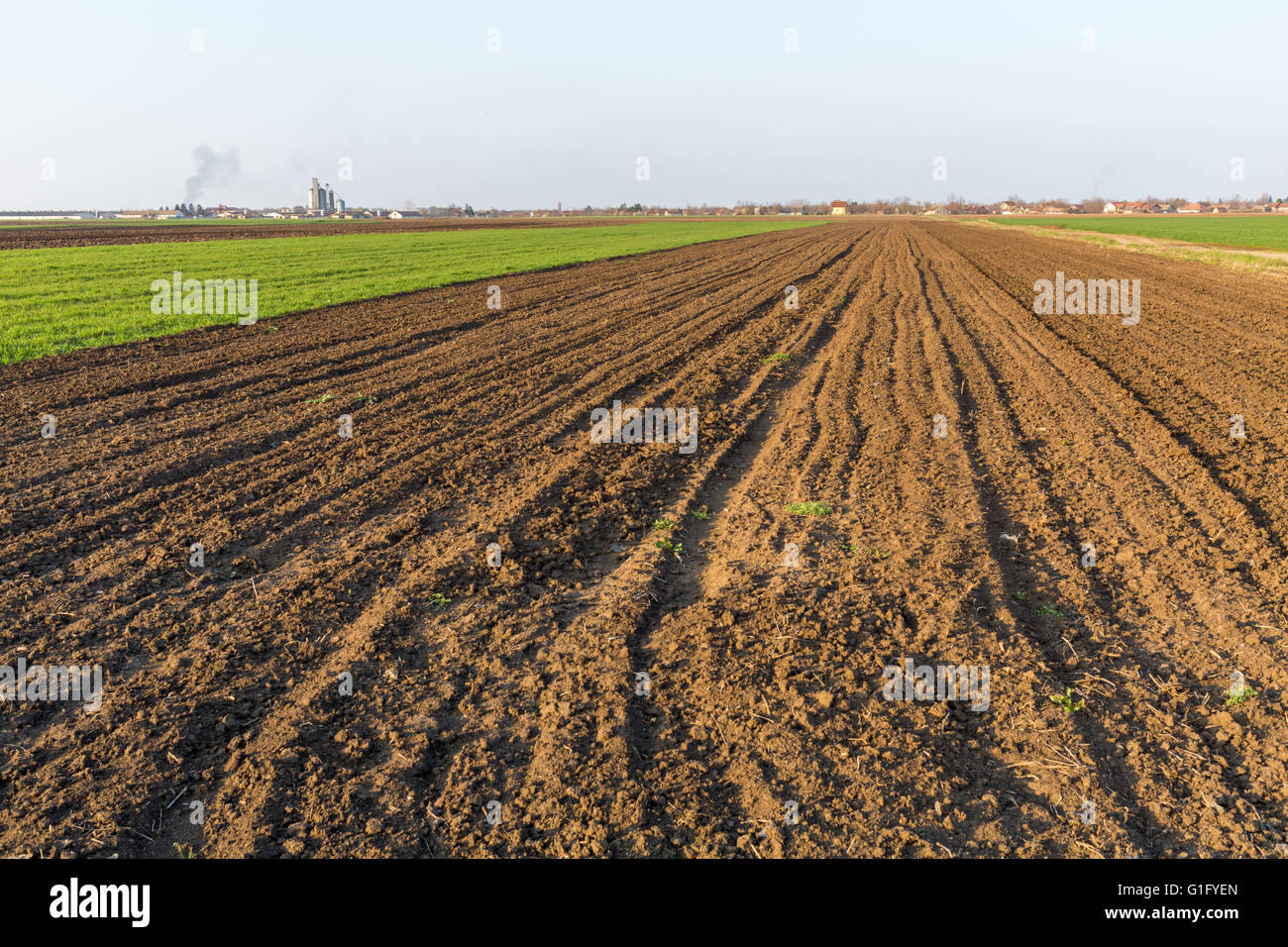 Il paesaggio agricolo, coltivazione di seminativi campo Foto Stock