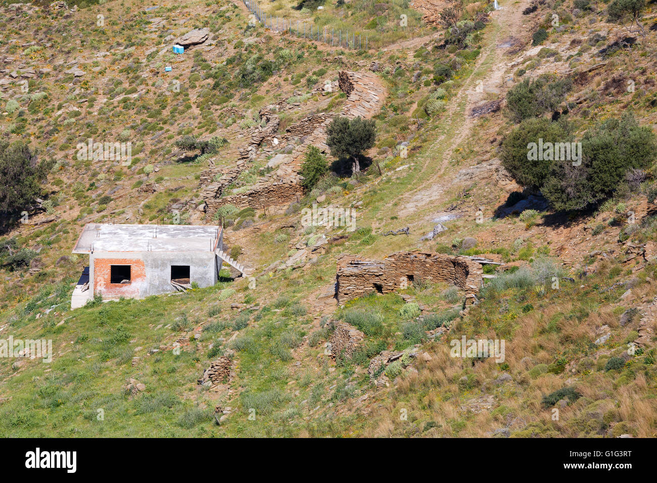 Tipici della montagna tenuta agricola nei pressi di Karystos in Grecia Foto Stock