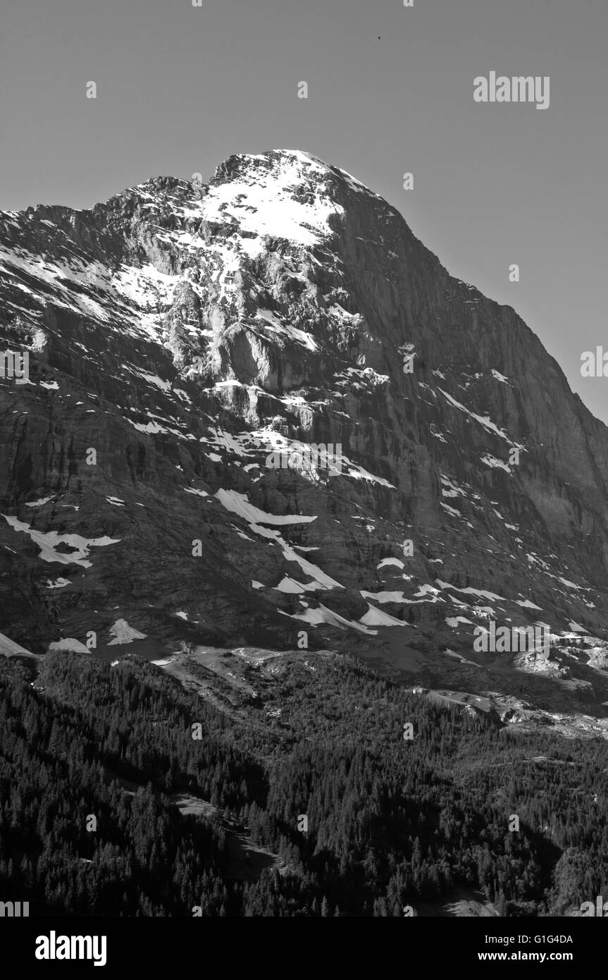 Alpi svizzere - montagne innevate e valli profonde, una veduta incredibile panorama che mozza il fiato Foto Stock
