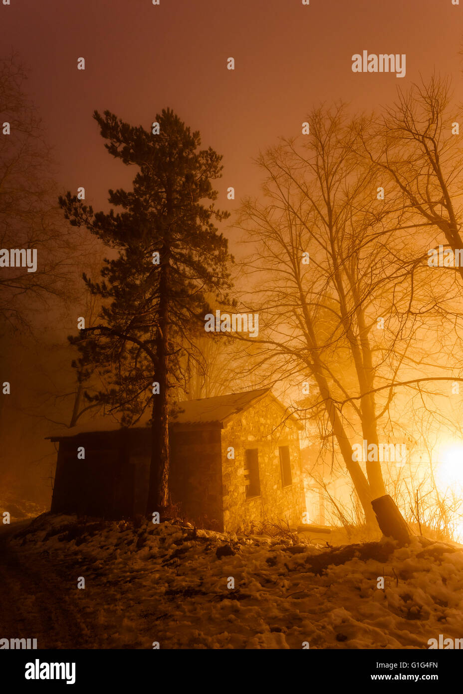 Bella calda luce e ombre nel tramonto con alberi, scena invernale in Grecia Foto Stock