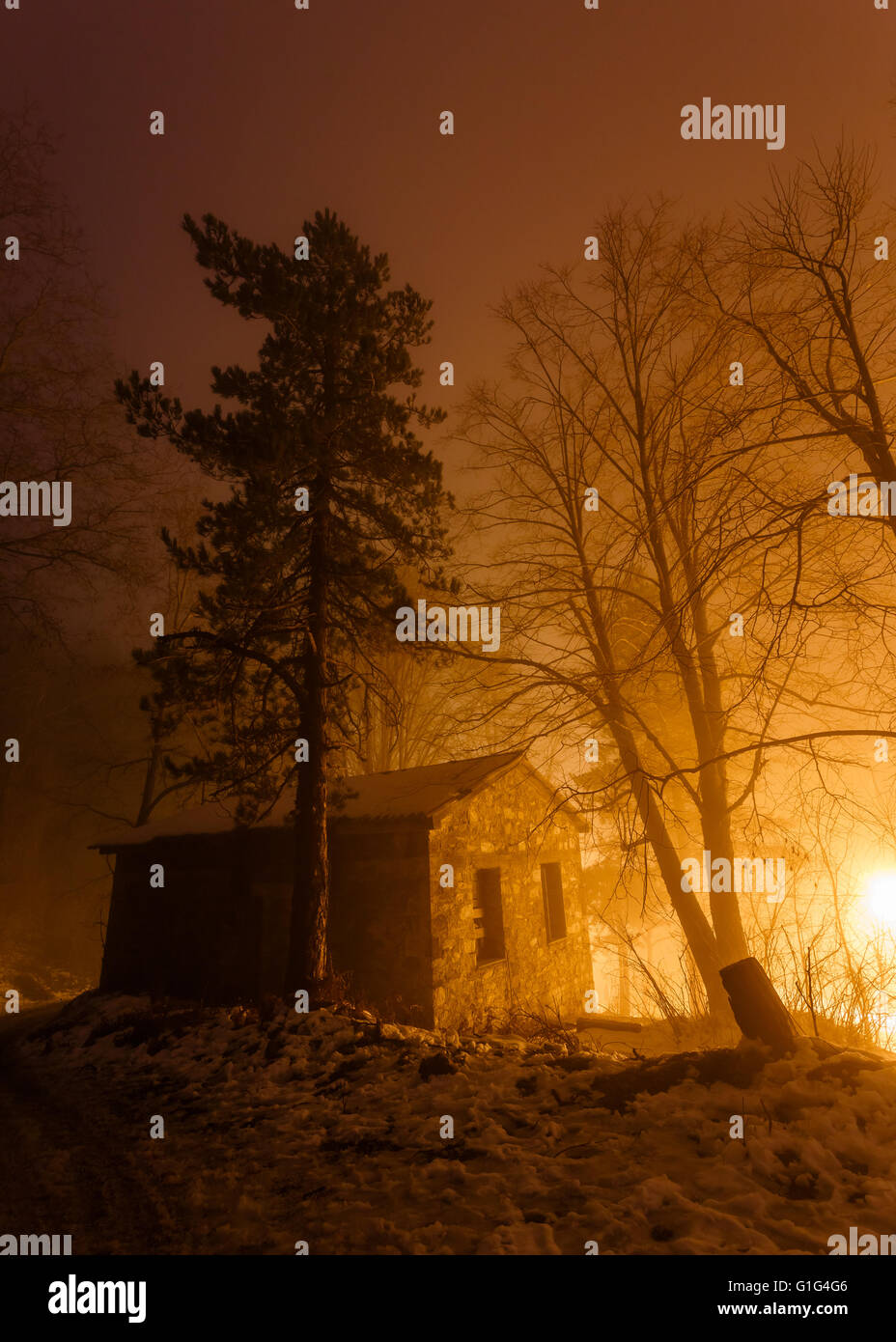 Bella calda luce e ombre nel tramonto con alberi, scena invernale in Grecia Foto Stock