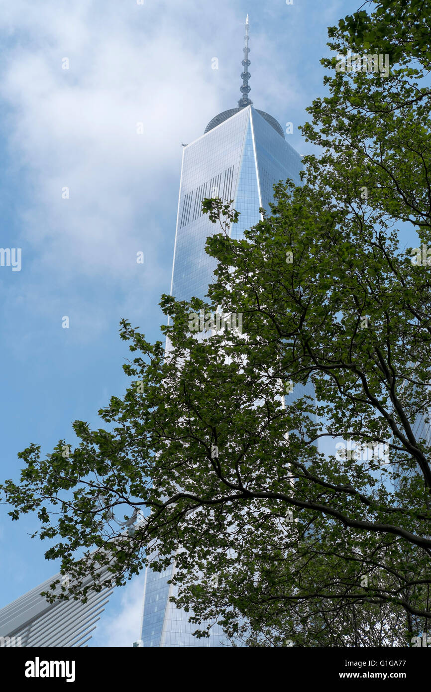 Immagine atmosferica del World Trade Center con parte di una struttura ad albero nella parte anteriore Foto Stock