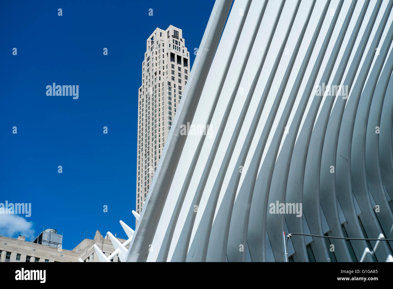 Bianco brillante dettaglio del World Trade Center Hub di trasporto edificio contro un luminoso cielo blu con grattacieli dietro Foto Stock