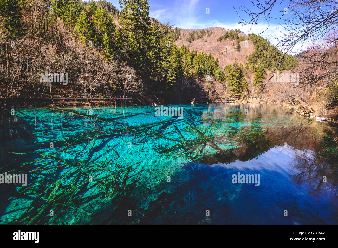 Peacock lago o 5 lago di colore in Jiuzhaigou parco nazionale, Cina Foto Stock