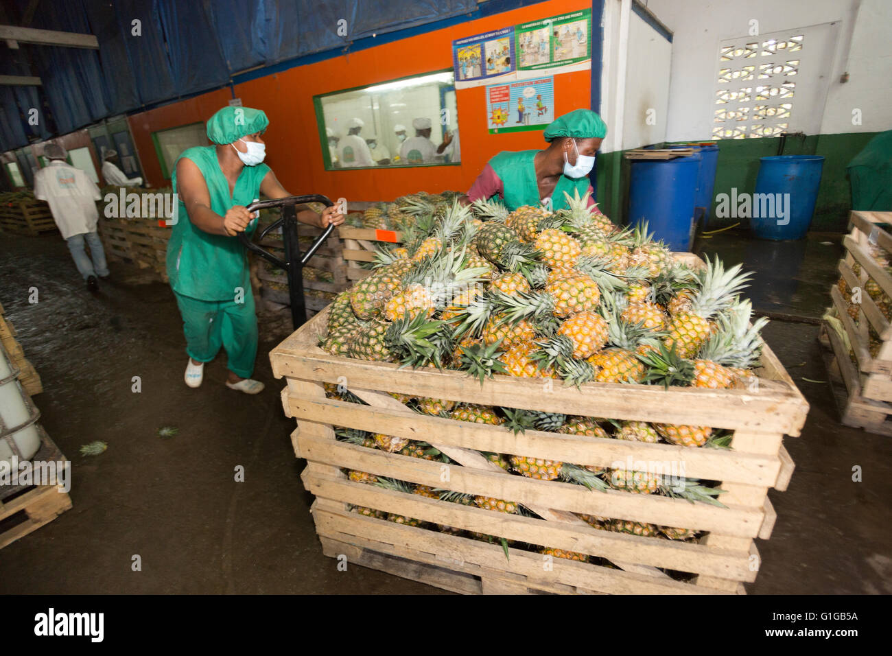 Il commercio equo e solidale ananas processore / produttore di Grand Bassam, Costa d'Avorio, l'Africa occidentale. Foto Stock