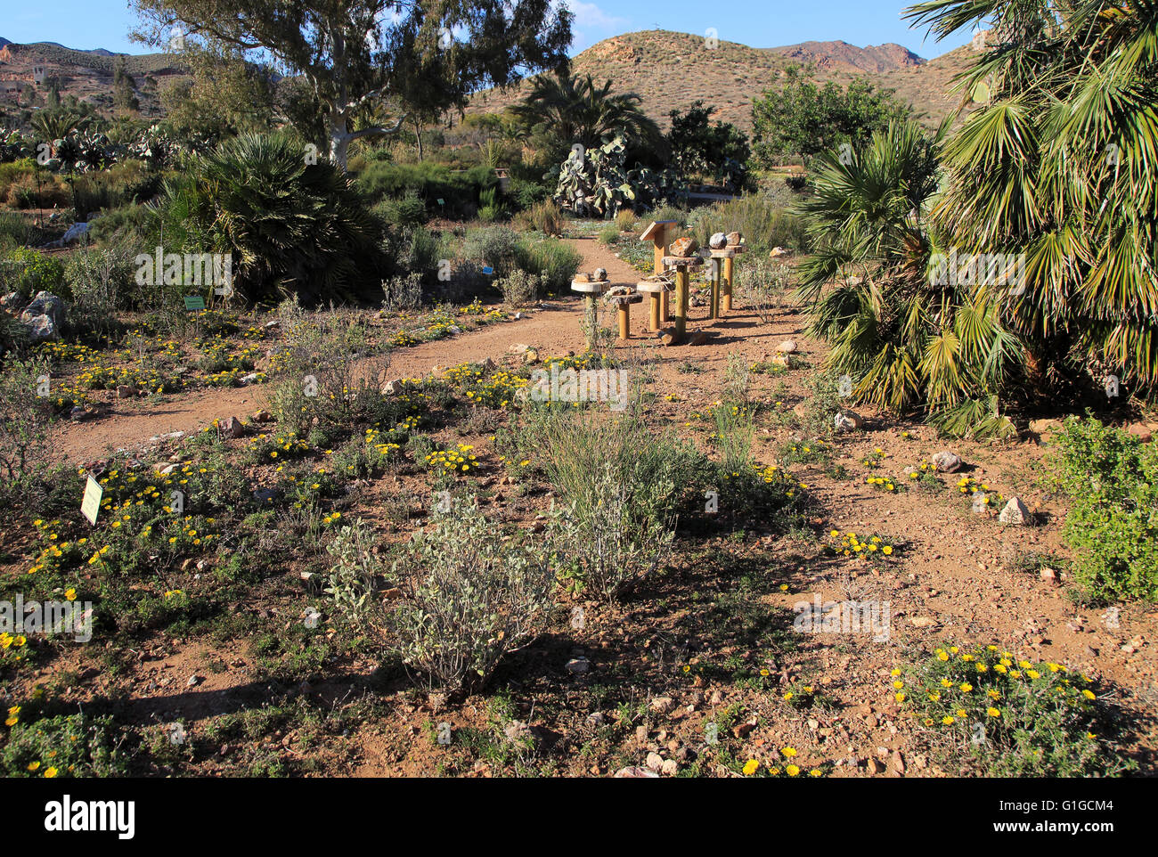 Giardini botanici a Rodalquilar, Parco Naturale Cabo de Gata, Almeria, Spagna Foto Stock