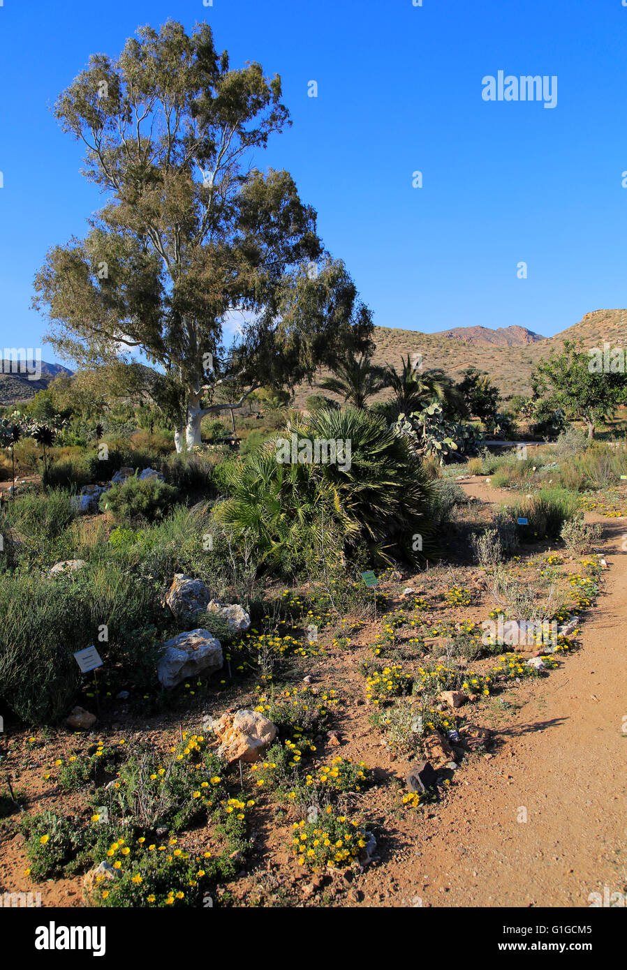 Giardini botanici a Rodalquilar, Parco Naturale Cabo de Gata, Almeria, Spagna Foto Stock