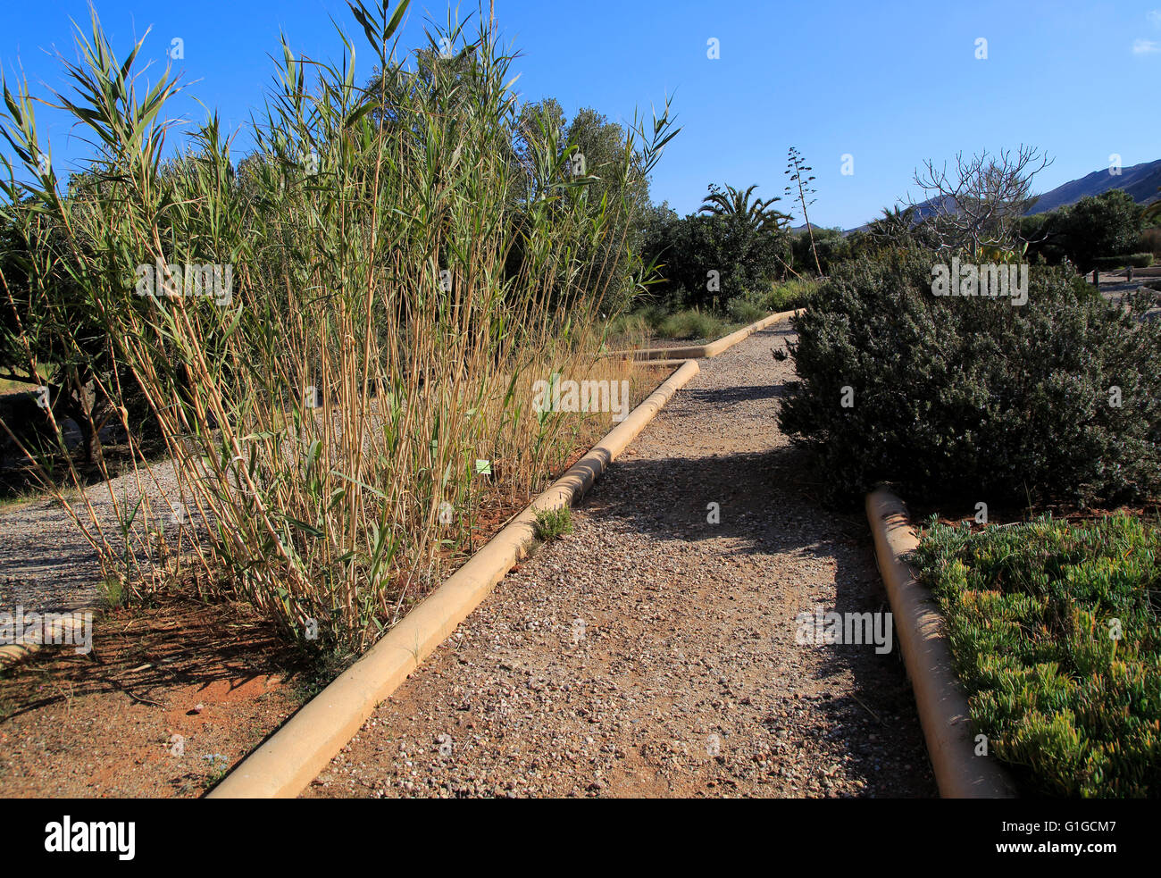 Giardini botanici a Rodalquilar, Parco Naturale Cabo de Gata, Almeria, Spagna Foto Stock