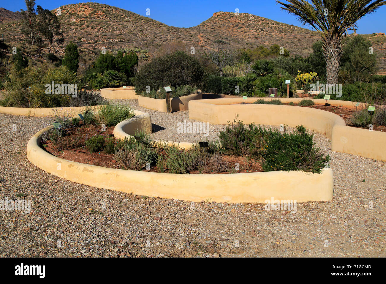 Giardini botanici a Rodalquilar, Parco Naturale Cabo de Gata, Almeria, Spagna Foto Stock