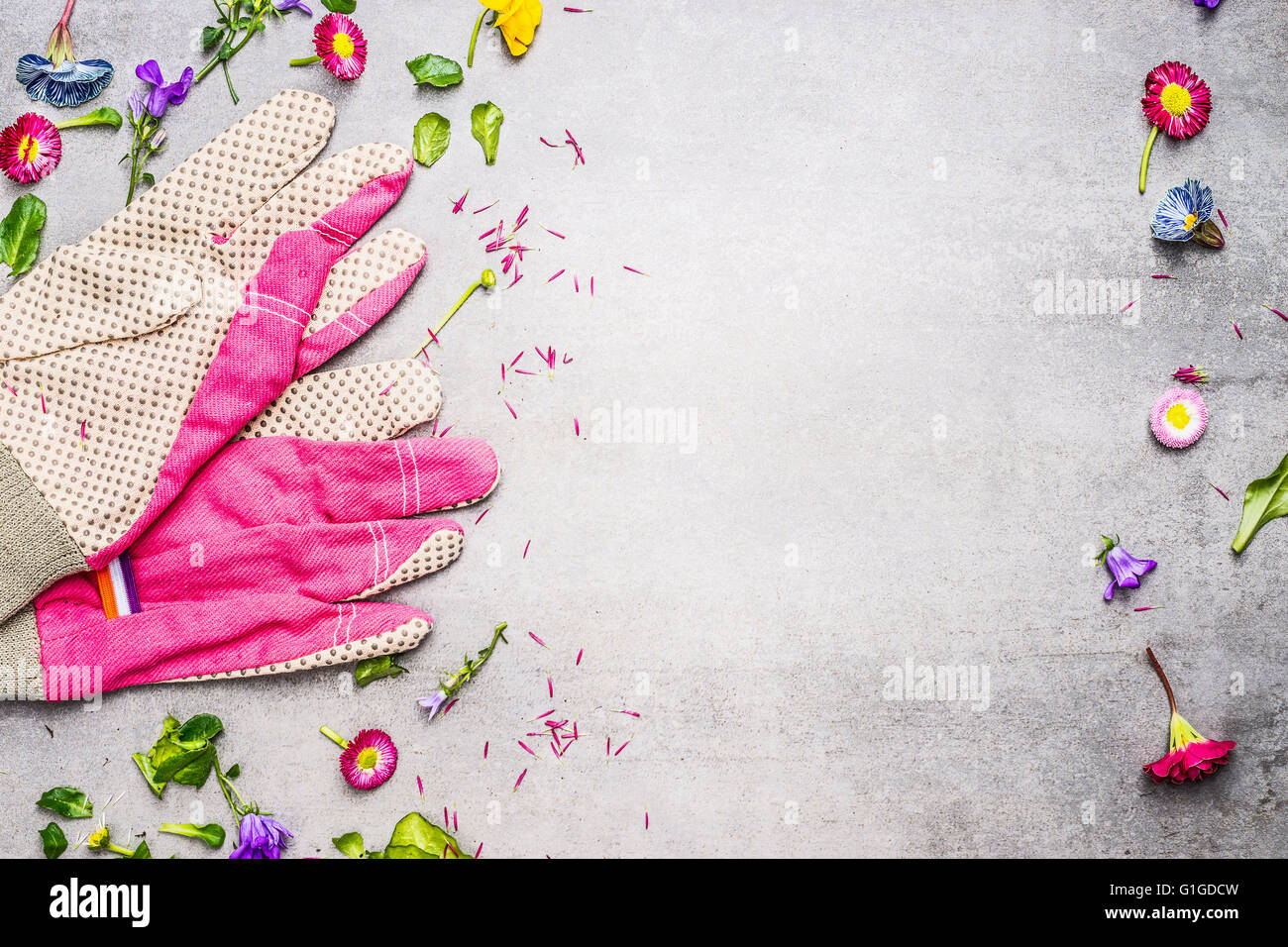 Rosa guanti da giardino con fiori e foglie di piante su sfondo concreto, vista dall'alto il telaio. Il giardinaggio e concetto di piantagione Foto Stock