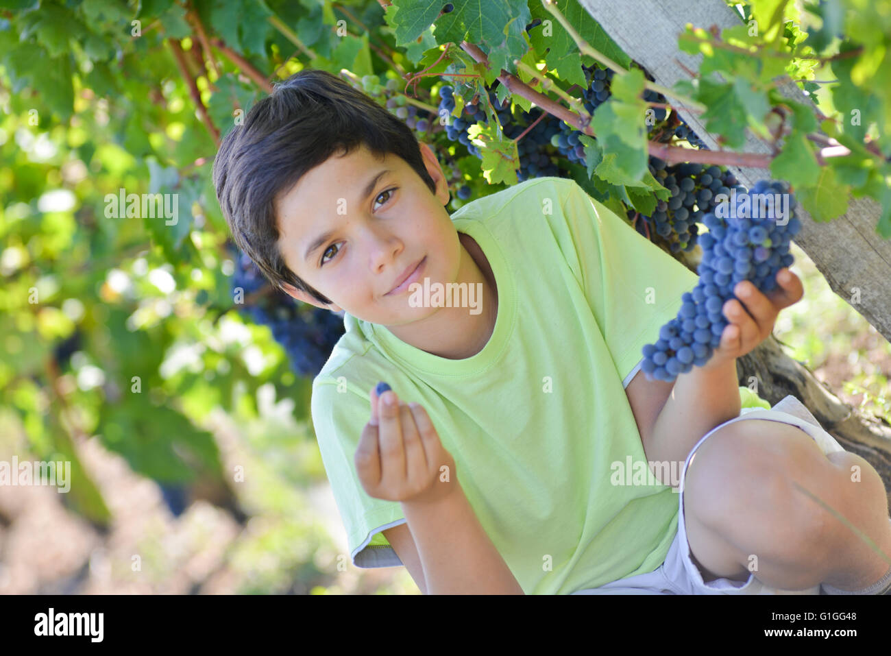Teen in vigna degustazione di uva rossa Foto Stock