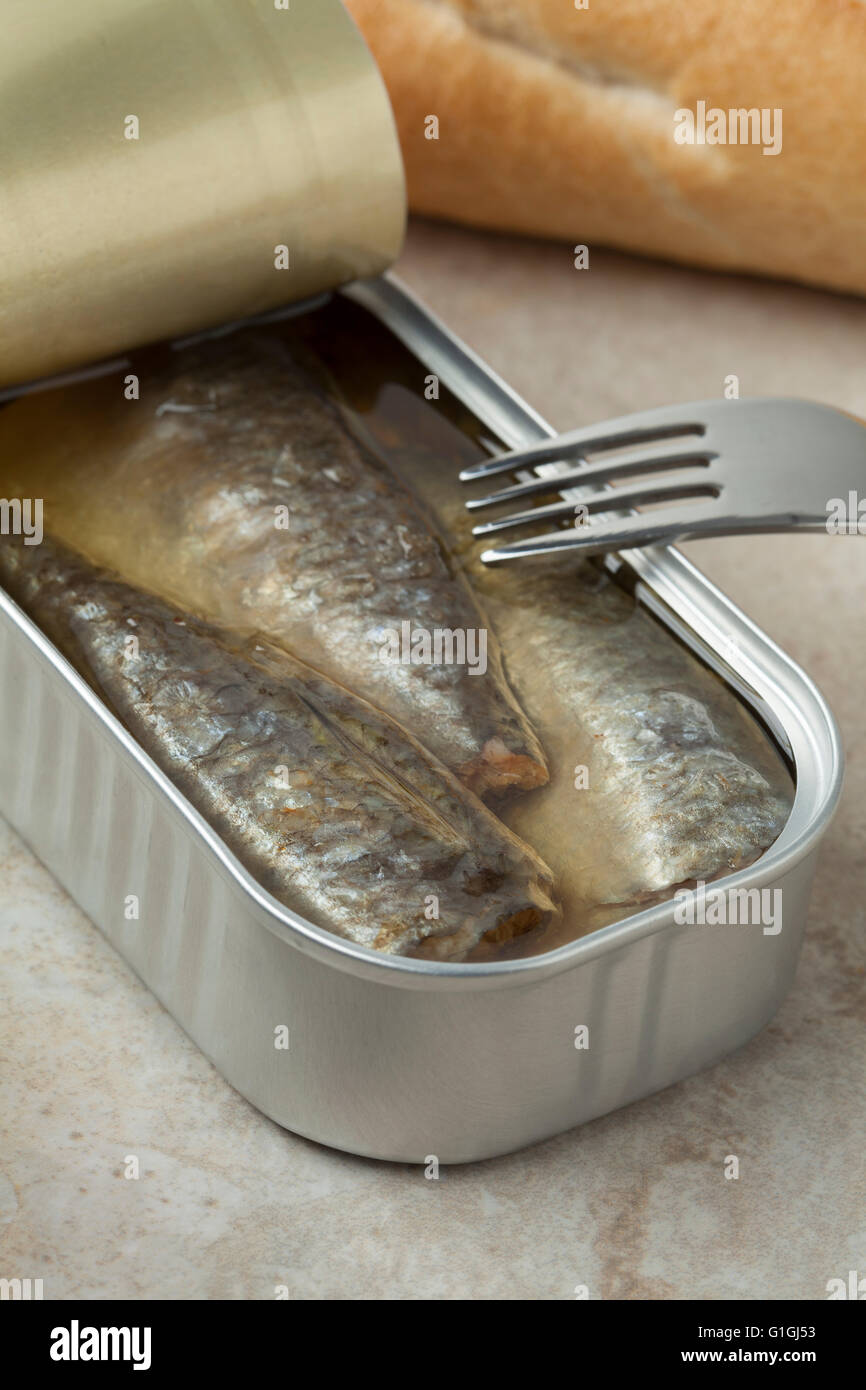 Aprire lo stagno di sardine in olio Foto Stock