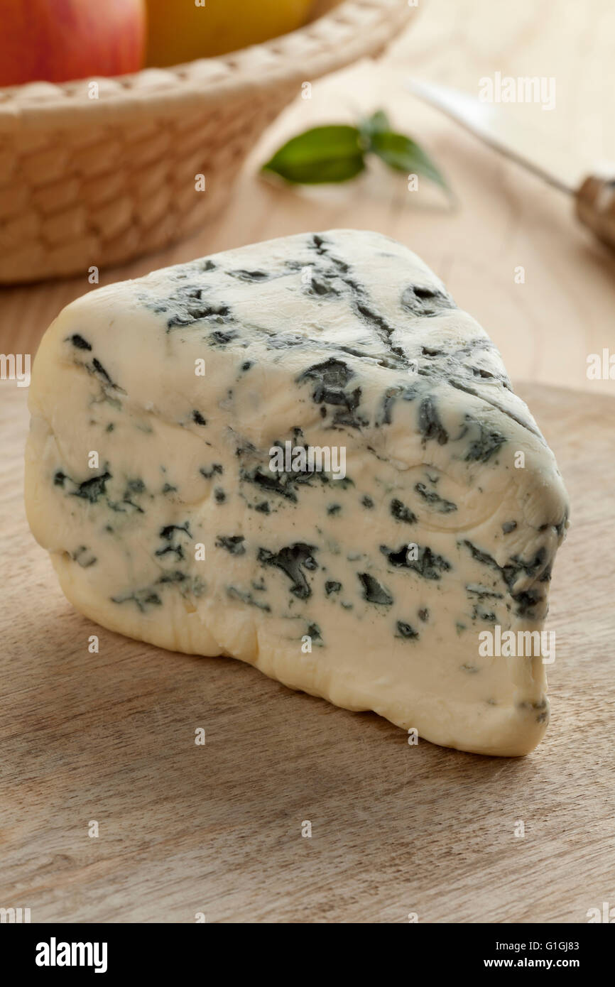 In stile tradizionale francese di formaggio di capra con stampo commestibili Foto Stock