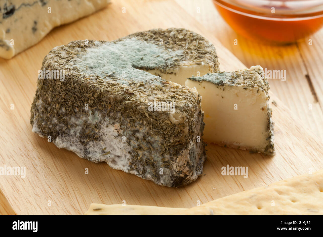 In stile tradizionale francese di formaggio di capra con stampo commestibili Foto Stock