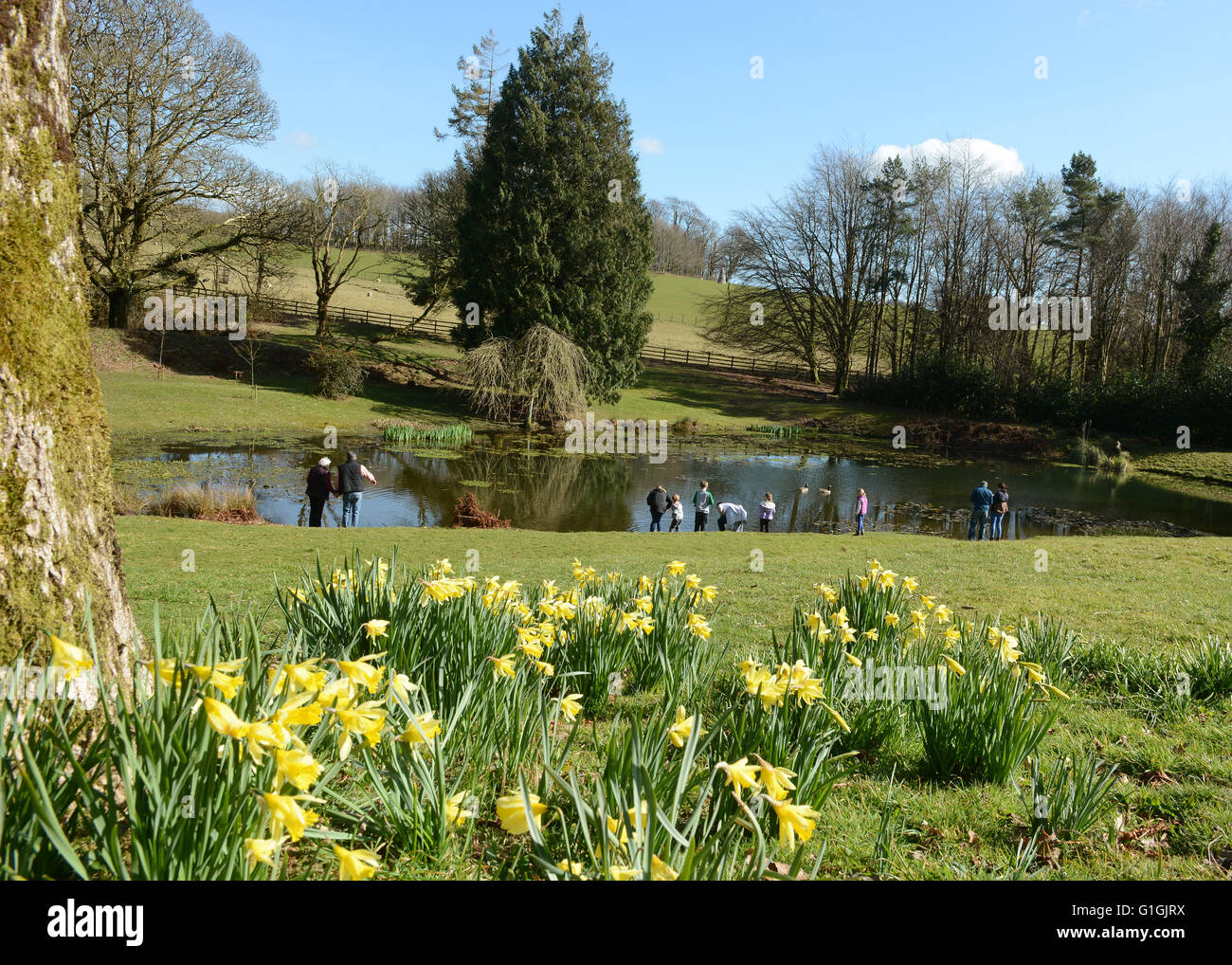 Corte di Arlington North Devon Chichester Casa Famiglia National Trust House e giardini i visitatori godere di giardini e il lago Foto Stock