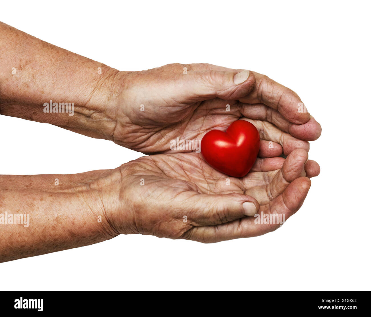 Donna anziana mantenendo il cuore rosso nel suo palms isolati su sfondo bianco, simbolo di attenzione e di amore Foto Stock
