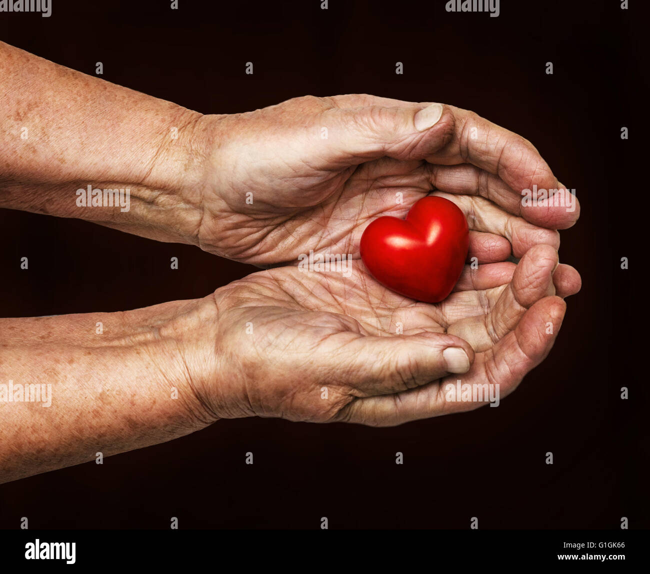 Donna anziana mantenendo il cuore rosso nel suo palms isolato su sfondo scuro, simbolo di attenzione e di amore Foto Stock