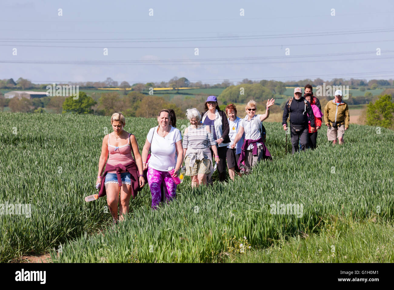 Wellingborough, Northamptonshire, Sun 15 maggio 2016. (Ultimo giorno) la 37th International Waendel a piedi Weekend, 42km(26 miglia) percorso verde, walkers avvicinando il punto di controllo (23,1 km) l'Agnello, Little Harrowden. Northants. Credito: Keith J Smith./Alamy Live News Foto Stock