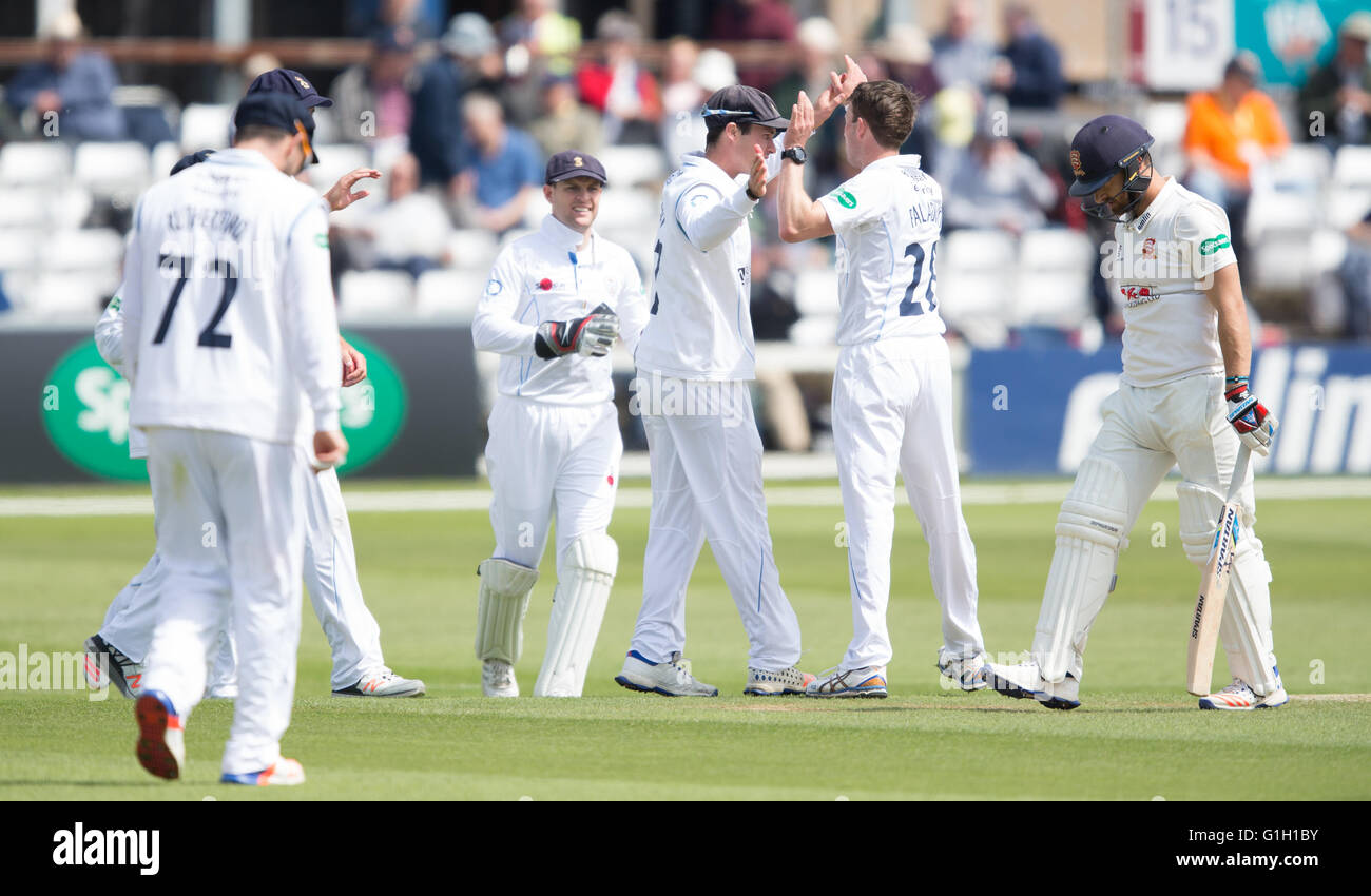 County Ground, Chelmsford, Regno Unito. 15 Maggio, 2016. La Contea di Specsavers campionato. Essex versus Derbyshire. Derbyshire County Cricket Club Giocatori festeggiare il paletto di Mickleburgh per 24 lbw colpiti da Palladino Credit: Azione Plus immagini di sport/Alamy Live News Foto Stock