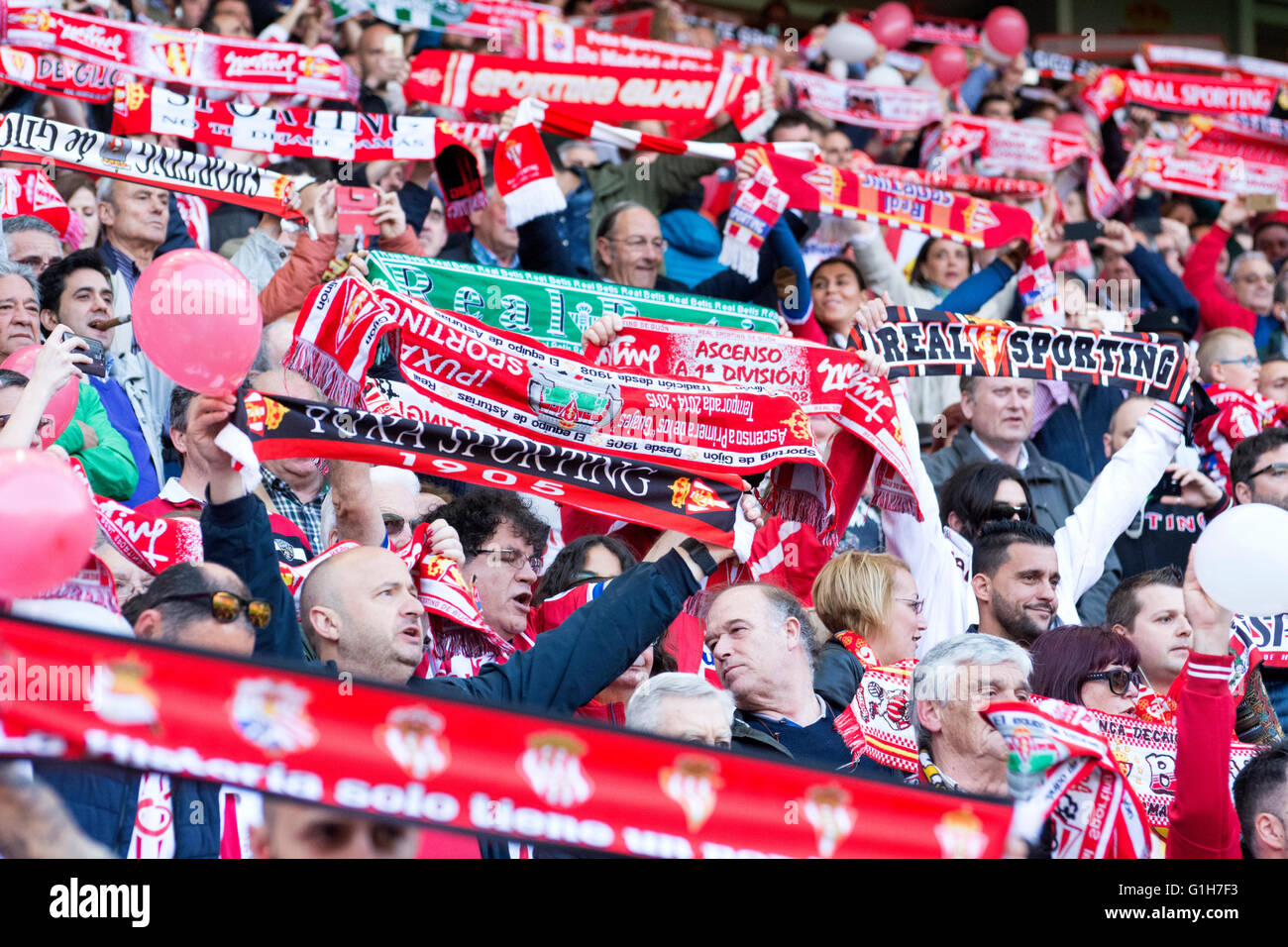 Gijon, Spagna. 15 Maggio, 2016. Sporting de Gijón sostenitori con sciarpe durante la partita di calcio dell'ultimo round della stagione 2016/2017 del campionato spagnolo "La Liga " tra Real Sporting de Gijón e Villareal CF a Molinón stadio su 15 Maggio 2016 a Gijon, Spagna. Credito: David Gato/Alamy Live News Foto Stock