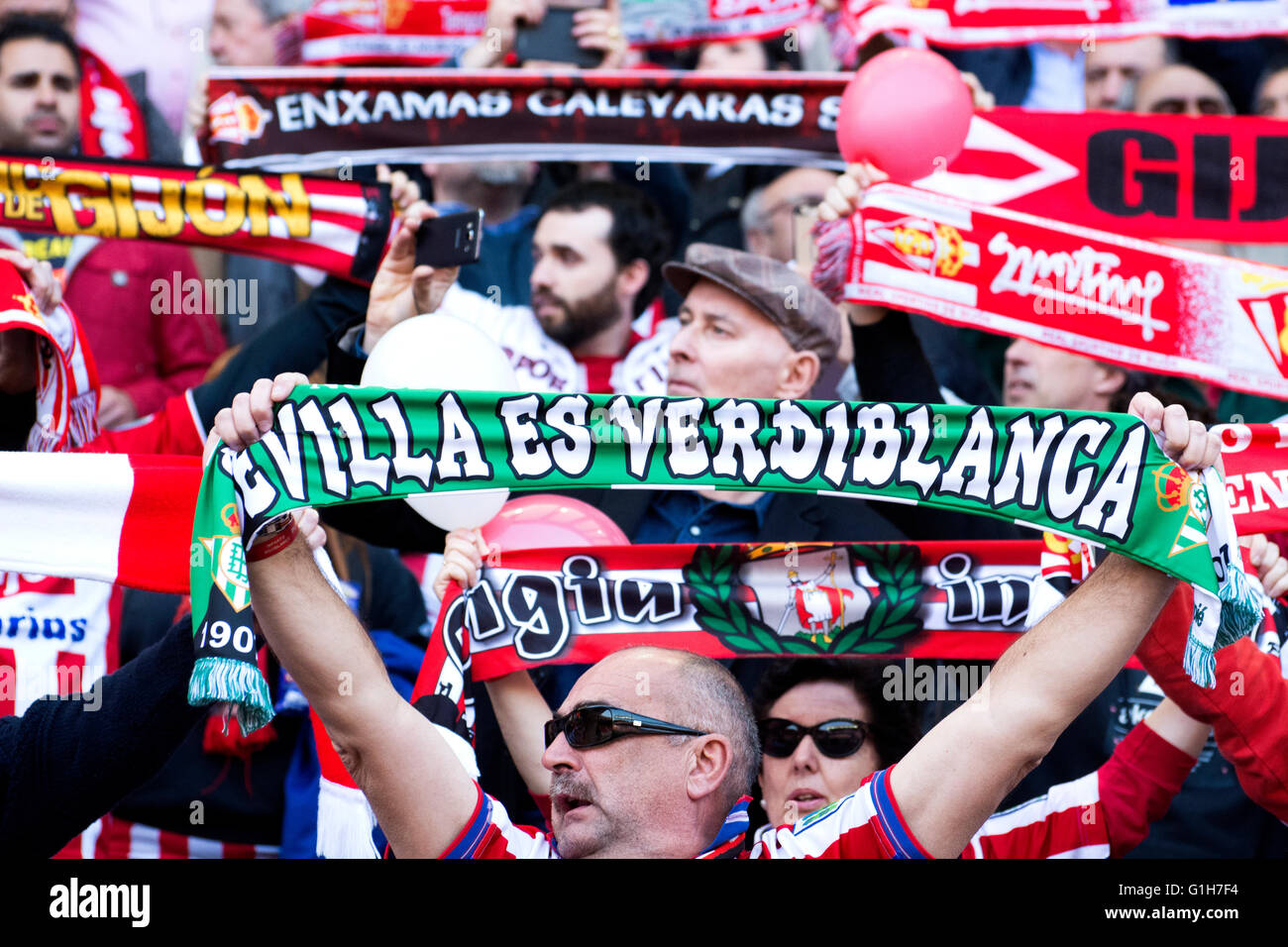 Gijon, Spagna. 15 Maggio, 2016. Un Sporting de Gijón sostenitrice dell con una sciarpa di Real Betis durante la partita di calcio dell'ultimo round della stagione 2016/2017 del campionato spagnolo "La Liga " tra Real Sporting de Gijón e Villareal CF a Molinón stadio su 15 Maggio 2016 a Gijon, Spagna. Credito: David Gato/Alamy Live News Foto Stock