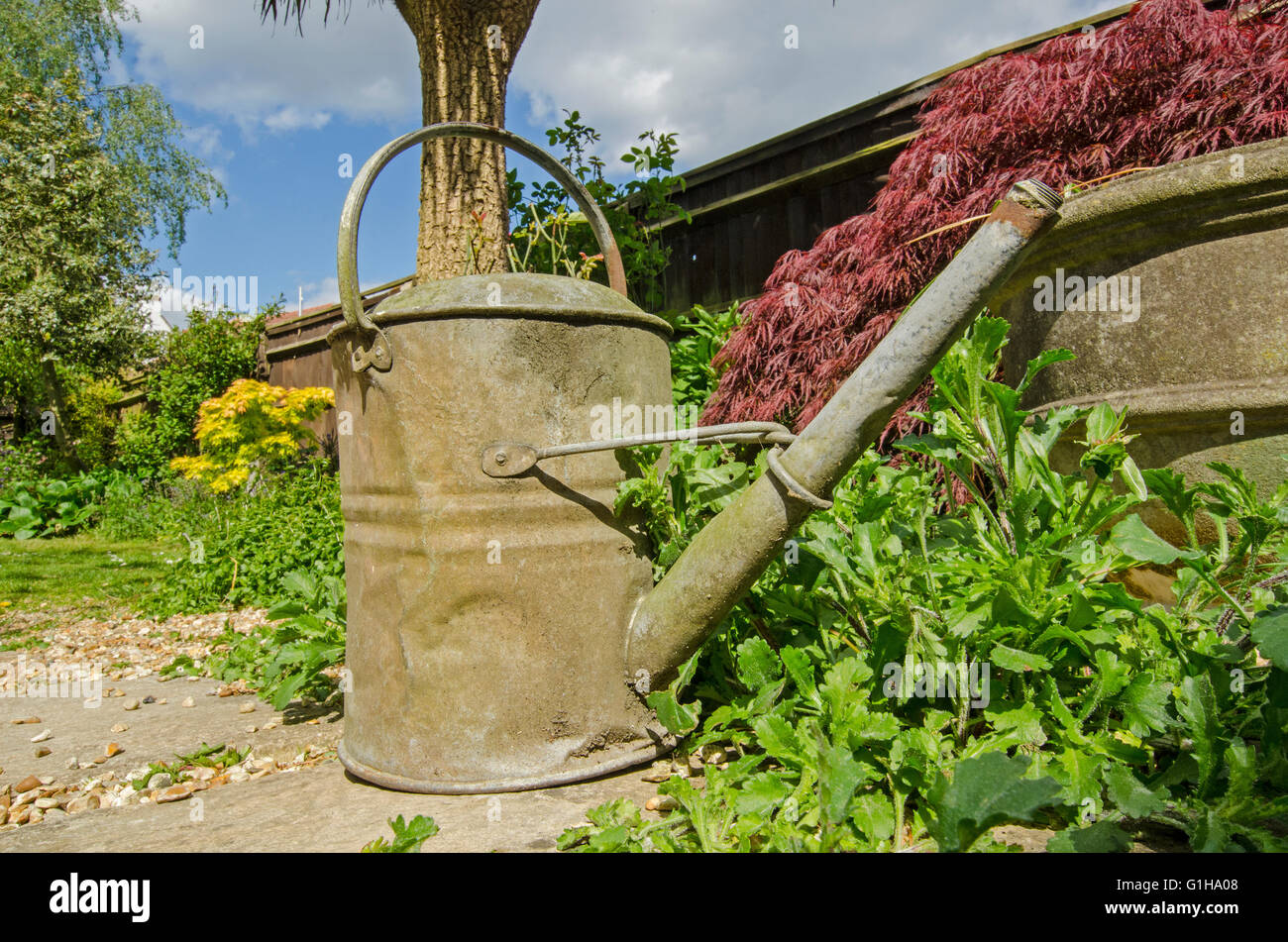 VINTAGE in metallo zincato ANNAFFIATOIO rustico di antiquariato Foto Stock