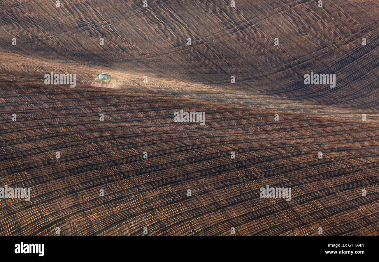 Il paesaggio agricolo con il trattore aratura di striped brown field in Moravia del sud al tramonto, splendida vista sulle dolci colline Foto Stock