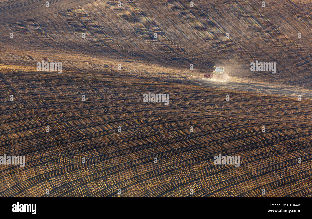 Il paesaggio agricolo con il trattore aratura di striped brown field in Moravia del sud al tramonto, splendida vista sulle dolci colline Foto Stock