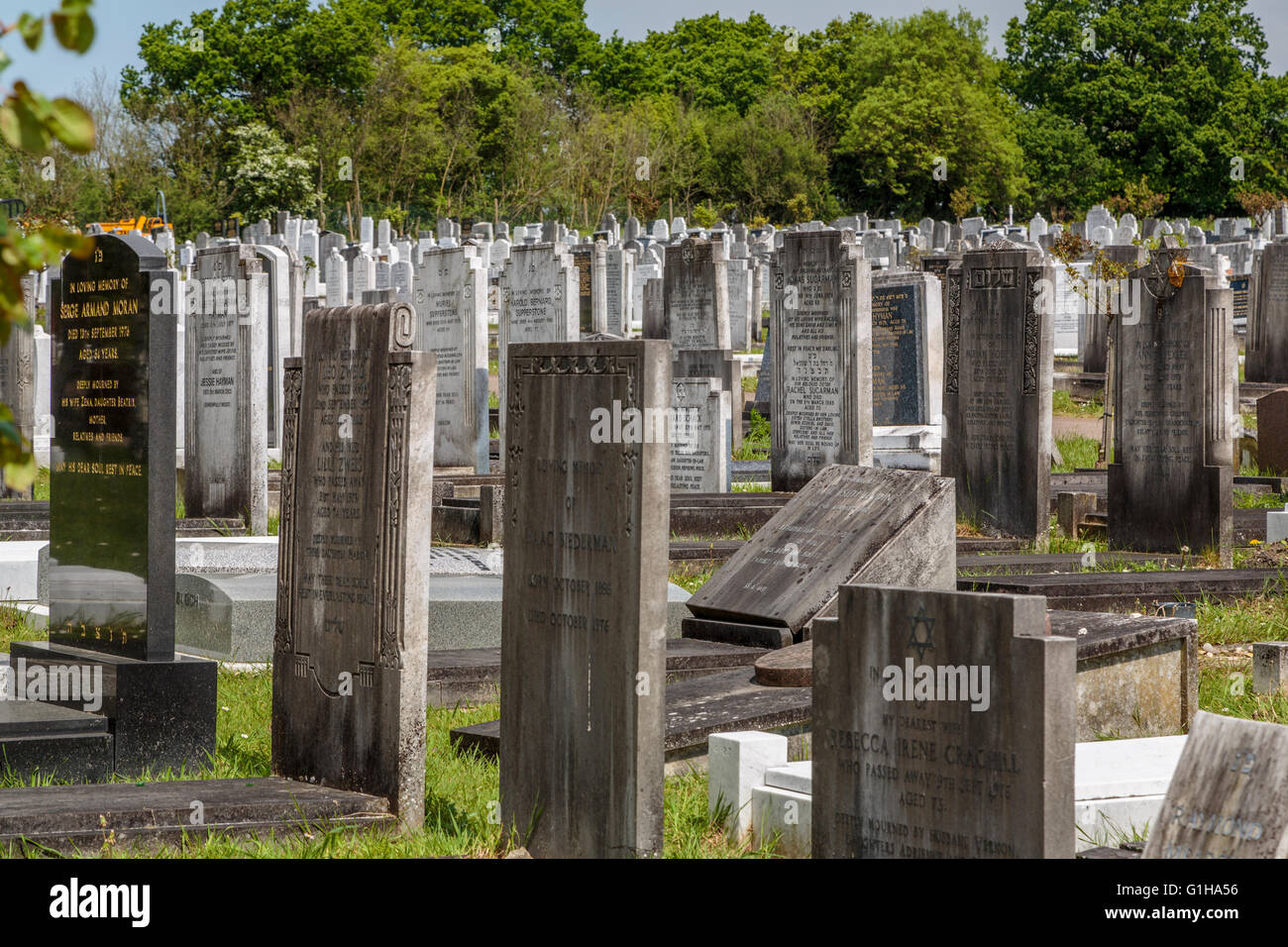 Le lapidi in un cimitero ebraico London REGNO UNITO Foto Stock