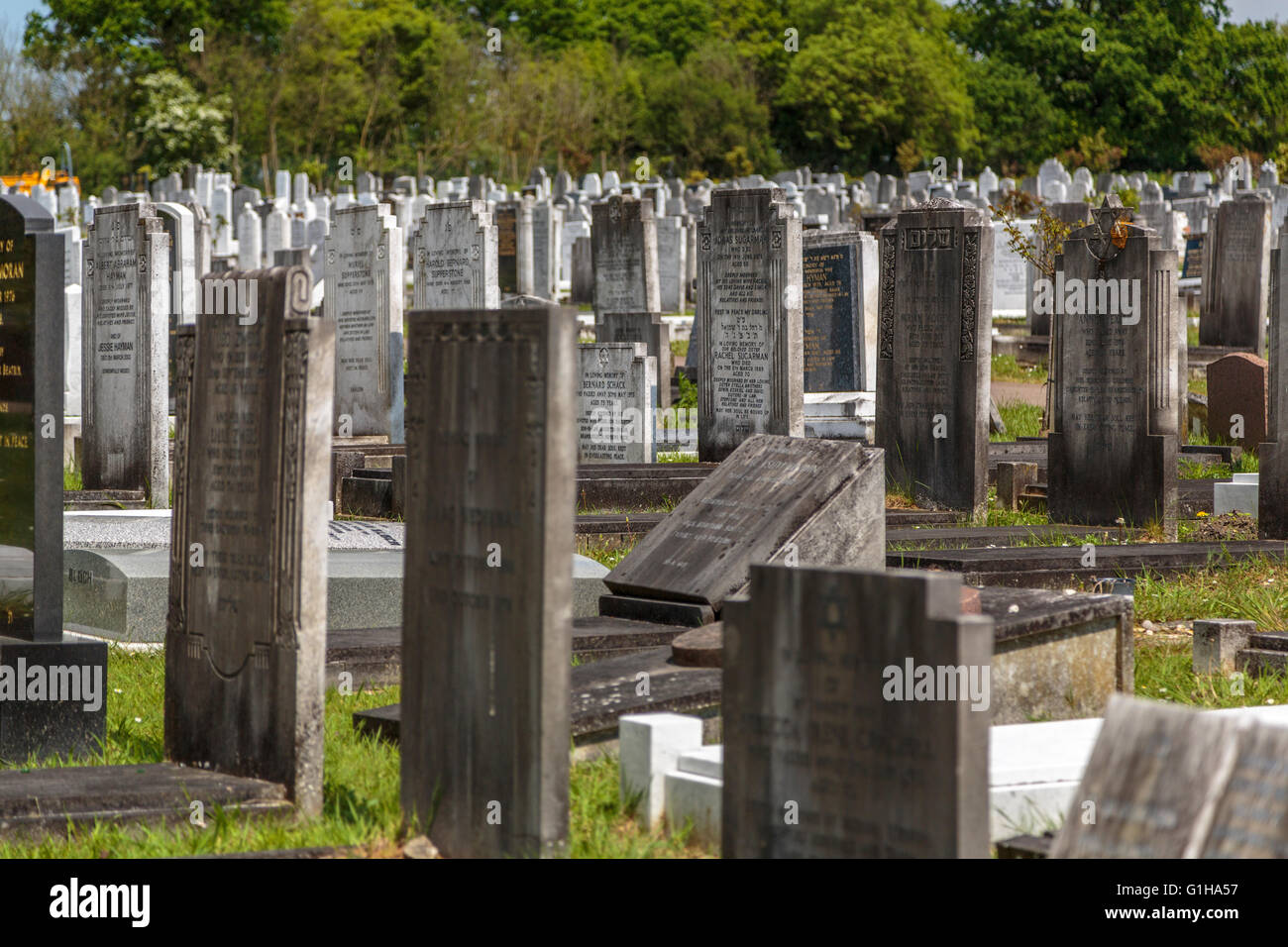 Le lapidi in un cimitero ebraico London REGNO UNITO Foto Stock
