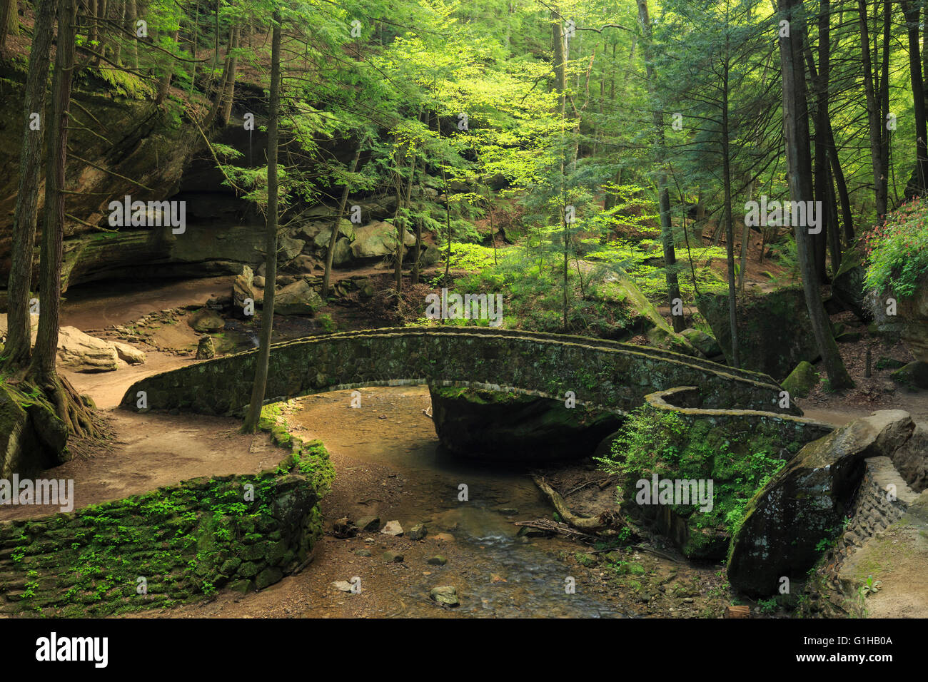 Arcuata di ponte in pietra Hocking Hills State Park, Ohio (Old Man's Cave Area). Foto Stock