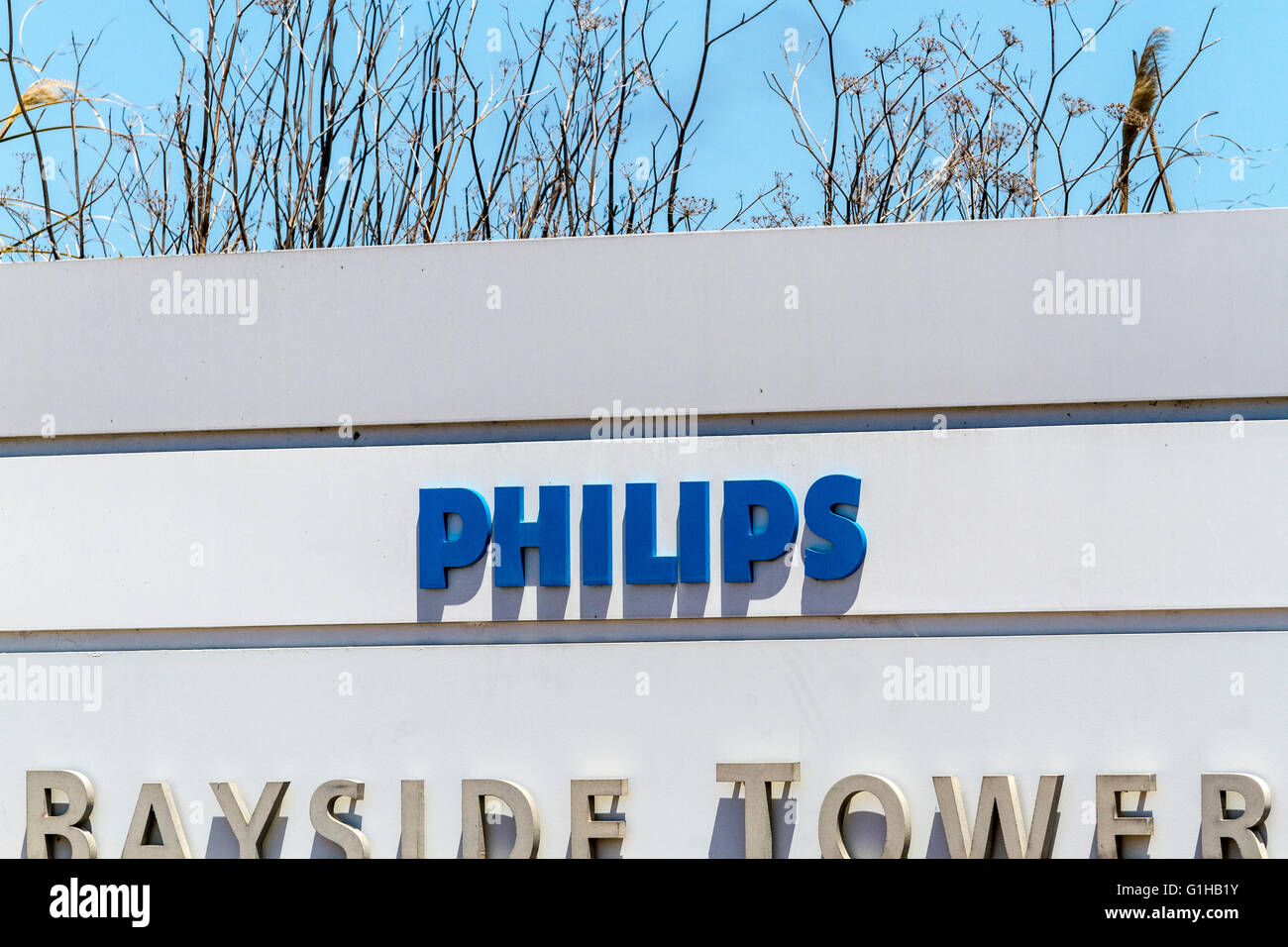 Un cacciavite Phillips azienda accedi Foster City California Foto Stock