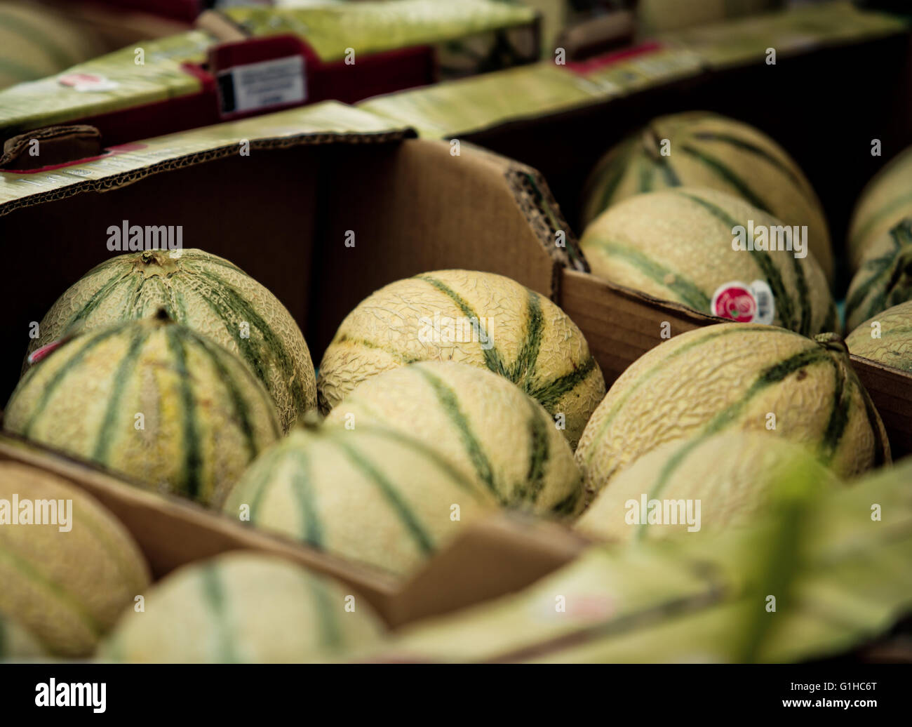 Meloni presso il locale mercato settimanale in Bretagna Francia Foto Stock