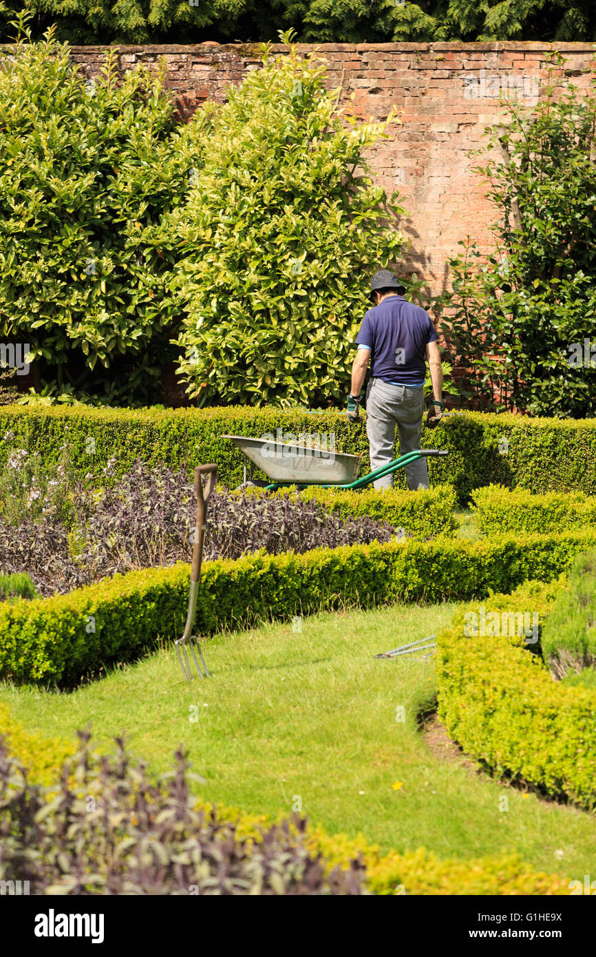 Un uomo del giardinaggio con utensili da giardinaggio nelle vicinanze Foto Stock