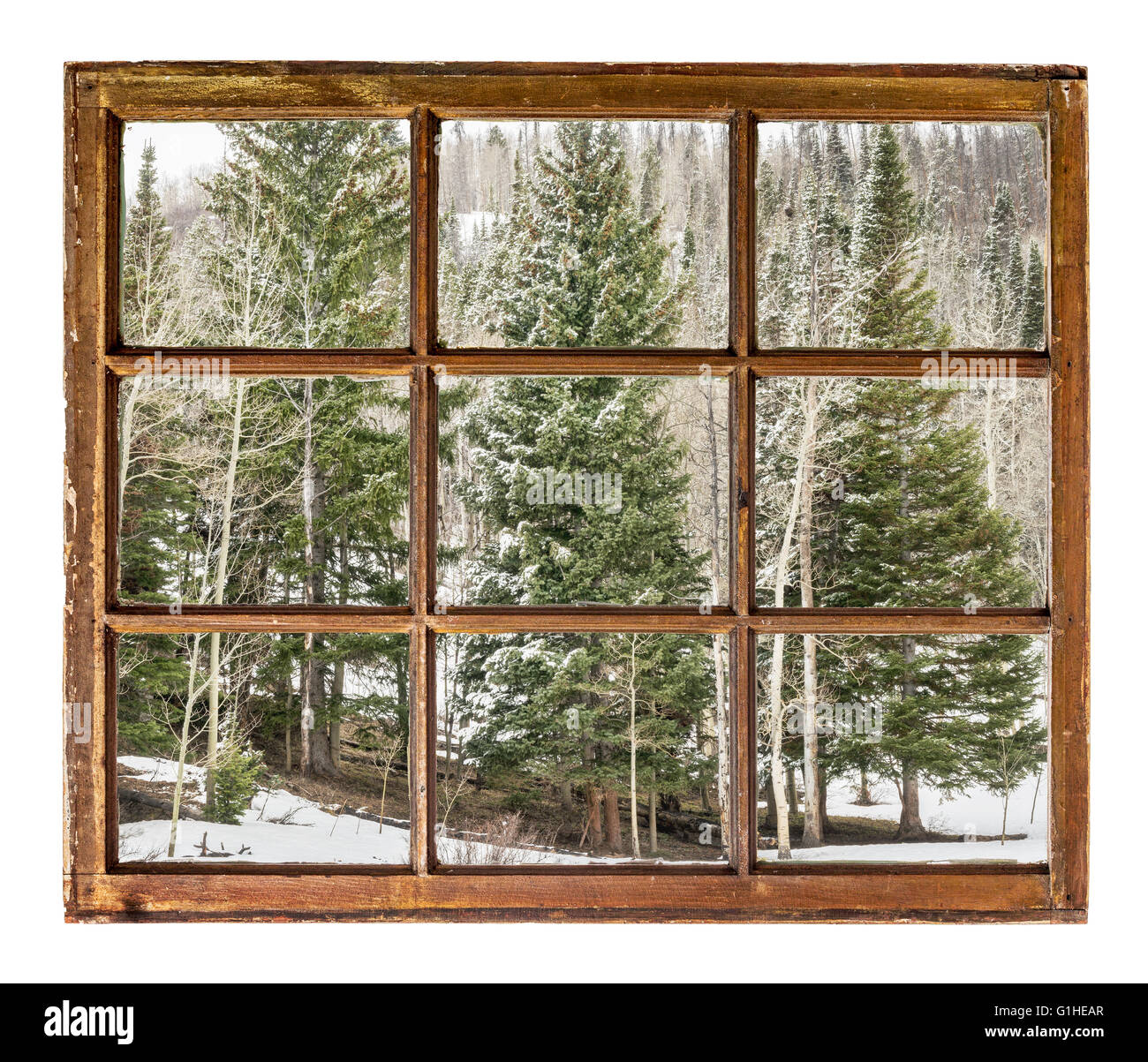 Abete e Aspen Grove in inverno come visto attraverso vintage, grunge, anta finestra con vetro sporco - viaggi o il concetto di vacanza Foto Stock