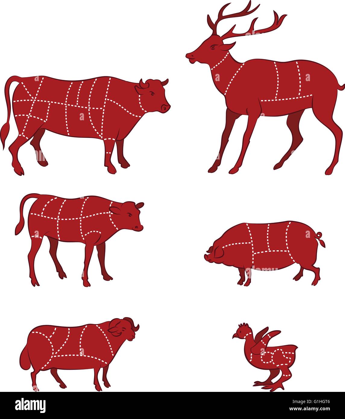 Illustrazione vettoriale di schema guida per il taglio di carne Illustrazione Vettoriale