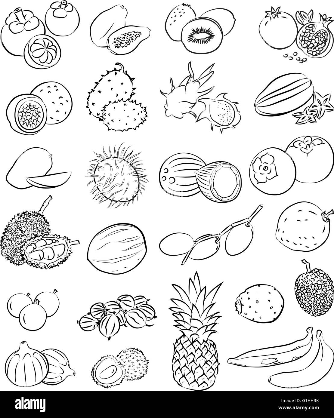 Set di vettore di frutti tropicali in linea modalità d'arte Illustrazione Vettoriale