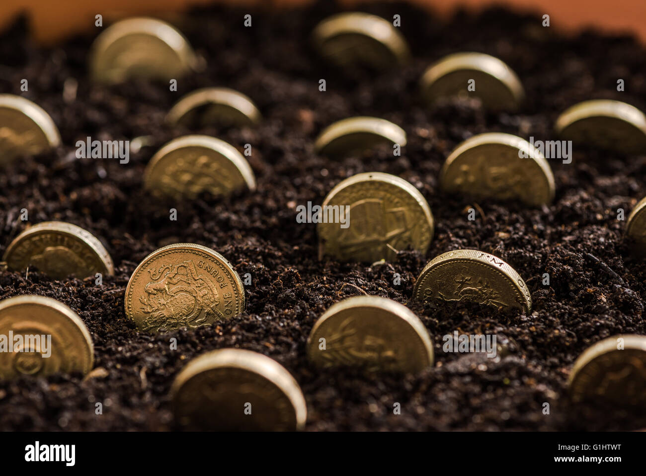 Crescente sterlina monete in pentola, il concetto di risparmio Foto Stock